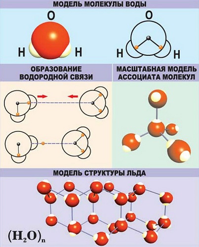 состав молекулы