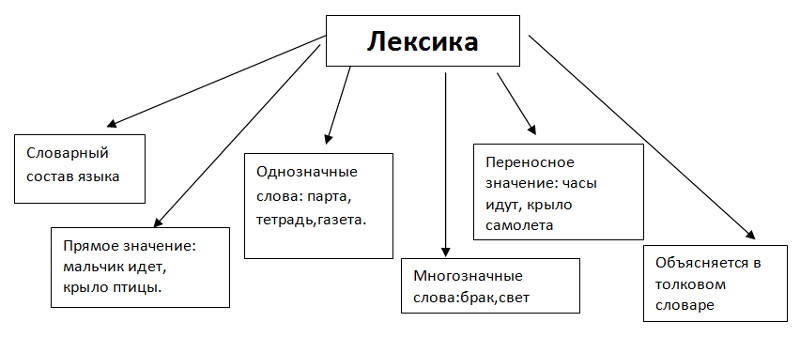 правила русского языка 5 класс с примерами
