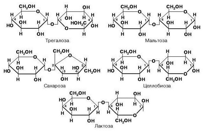 Примеры дисахаридов