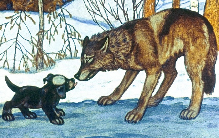 Волчица и щенок