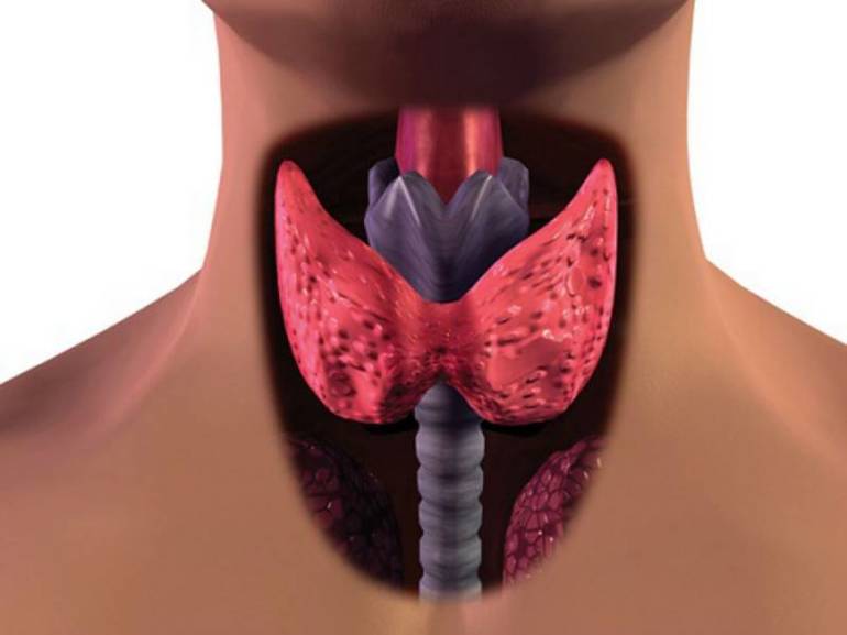 Обильное кровоснабжение щитовидной железы