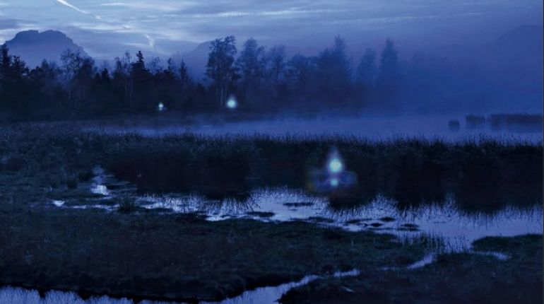 Свечение голубоватых огоньков над болотом