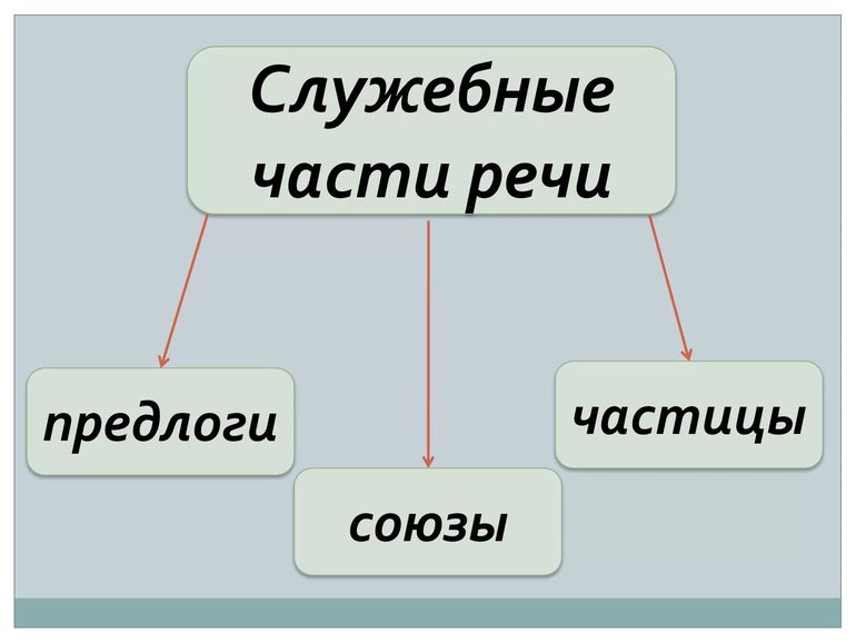 Служебные части речи в русском языке 