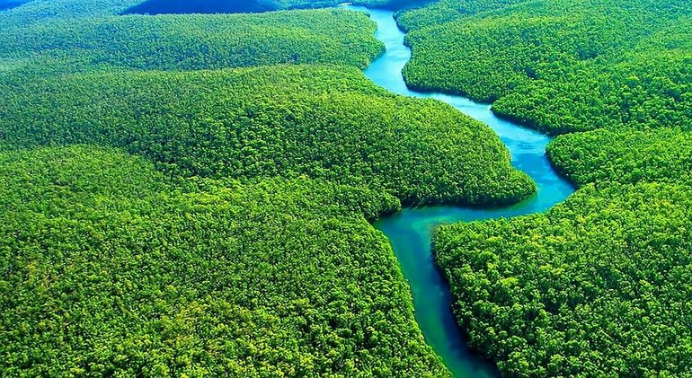 Климат Амазонской низменности