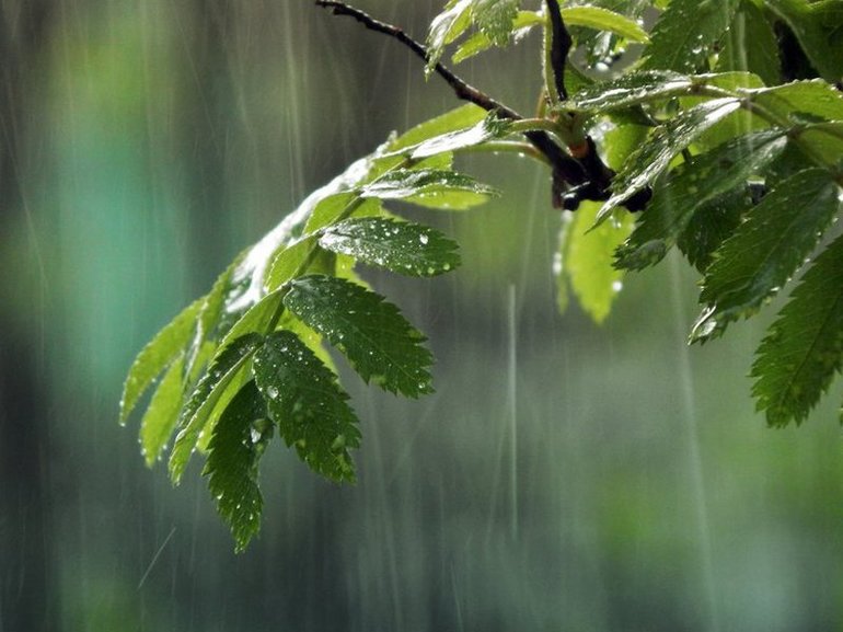 Фет весенний дождь анализ стихотворения 
