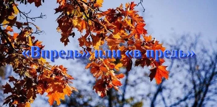 vpred-ili-v-pred-1.jpg как правильно пишется впредь