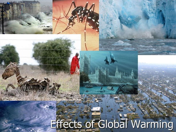 глобальное потепление последствия для земли