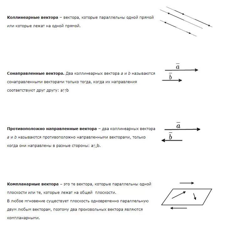 Вектор Вектор