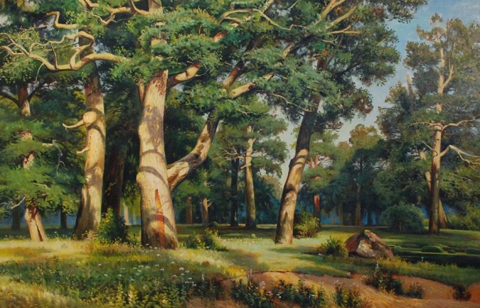 Деревья в лесу