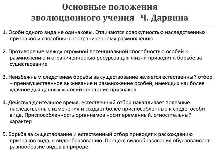 Основные положения теории Дарвина Основные положения теории Дарвина