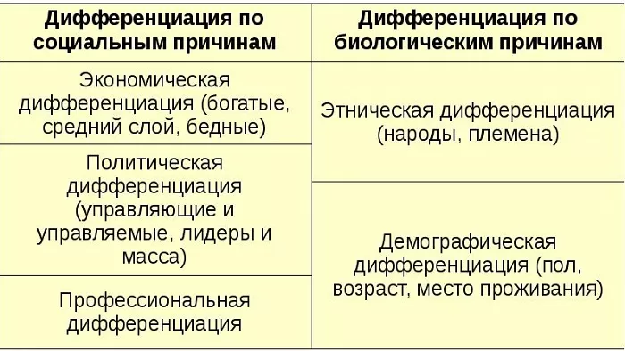 Социальная дифференциация Социальная дифференциация