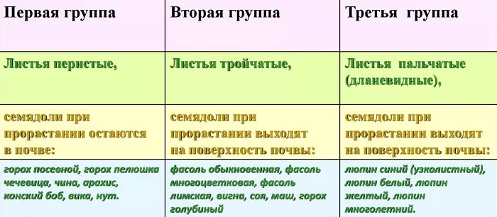 Листья зернобобовых культур Листья зернобобовых культур