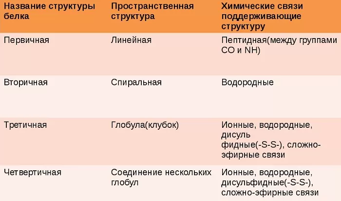Структуры белка Структуры белка