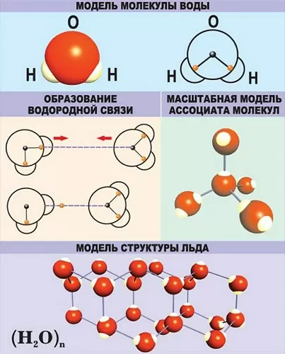 Какими свойствами характеризуется молекула thumbnail