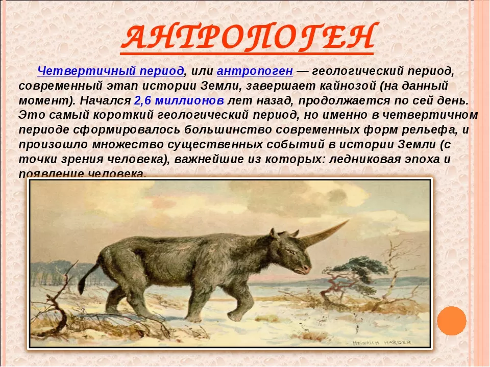 Четвертичный период (антропоген).jpg Четвертичный период (антропоген).jpg