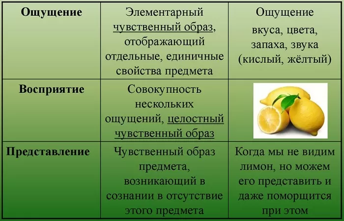 Формы чувственного познания Формы чувственного познания