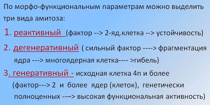 Виды амитоза Виды амитоза
