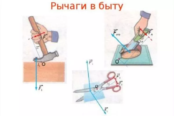 Рычаги в природе-4.jpg Рычаги в быту