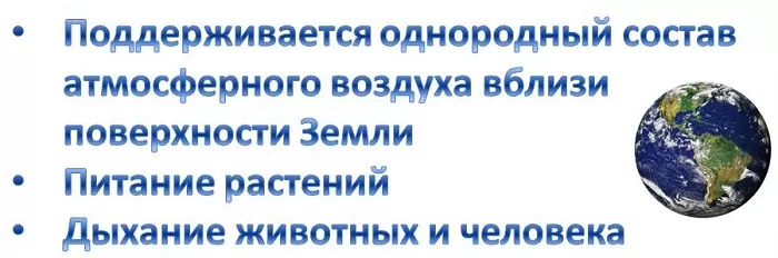Роль диффузии в природе Роль диффузии в природе