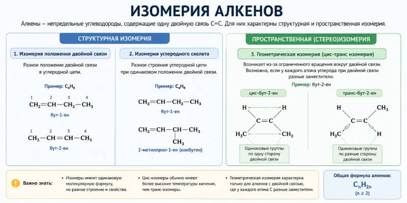изомерия свойства алкенов