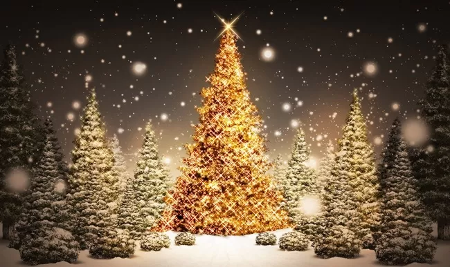 New_Year_wallpapers_Golden_tree_in_the_woods_on_New_Year_s_Eve_2015_088590_.jpg