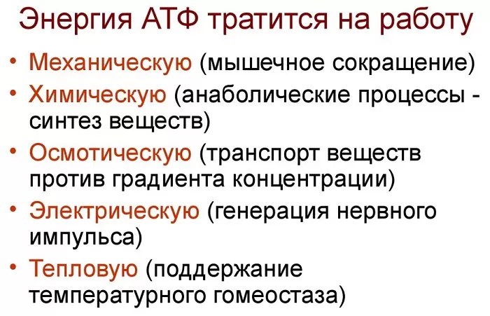 Функции АТФ