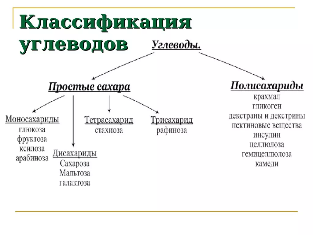 Углеводы Углеводы