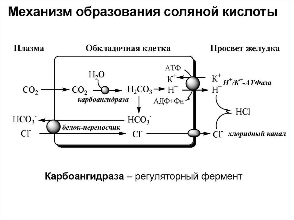 свойства соляной кислоты