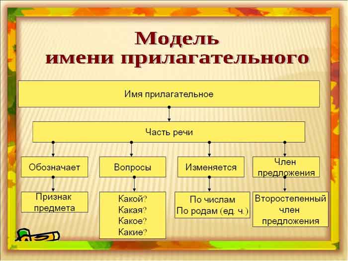 прилагательное правило 5 класс русский язык
