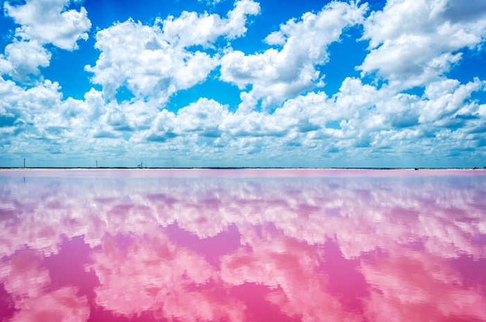 Las Coloradas розовое озеро