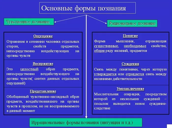 Формы познания Формы познания