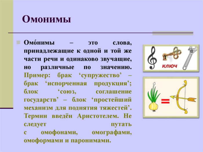 что такое омонимы в русском языке