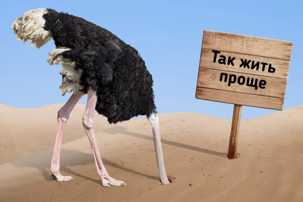Зачем страус прячет голову в песок