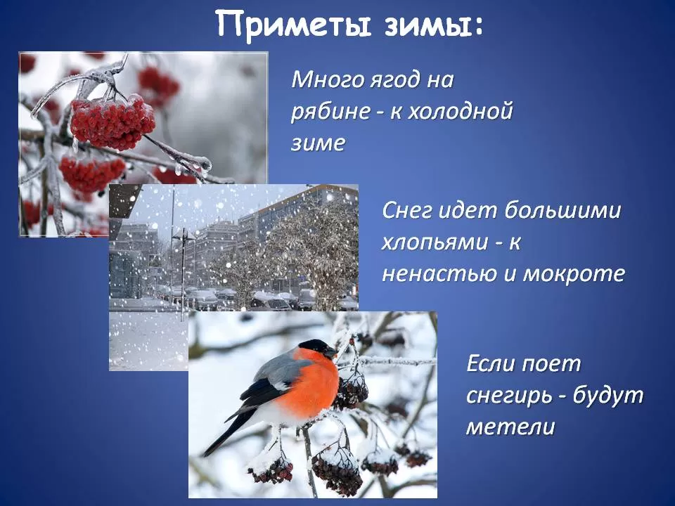 Народные приметы о погоде зимой Народные приметы о погоде зимой