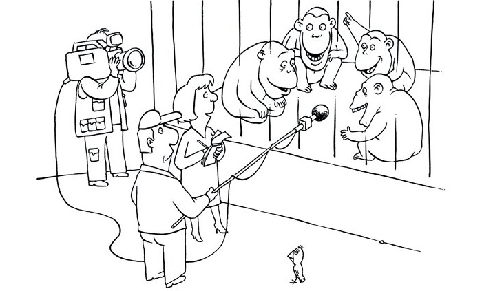 В зоопарке произошел забавный инцидент с обезьянами