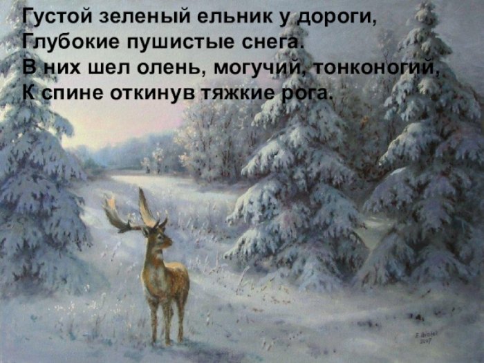 Густой зеленый ельник анализ-2.jpg густой зеленый ельник у дороги анализ