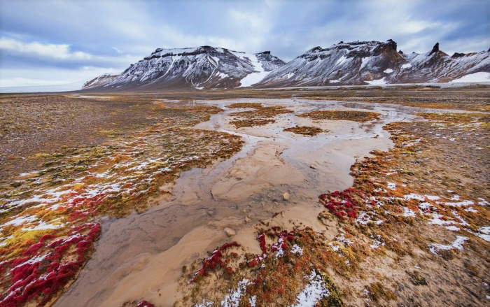 зона арктических пустынь экологические проблемы