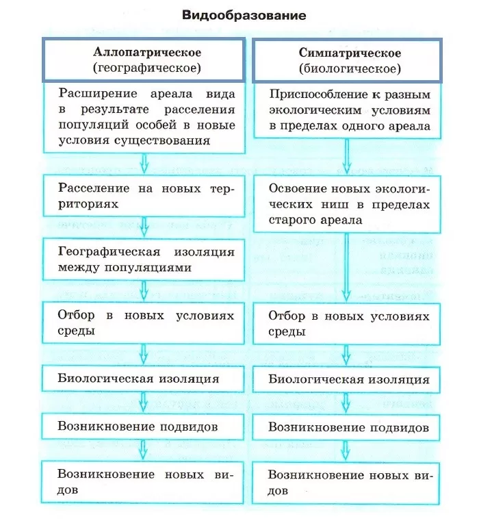 Видообразование Видообразование
