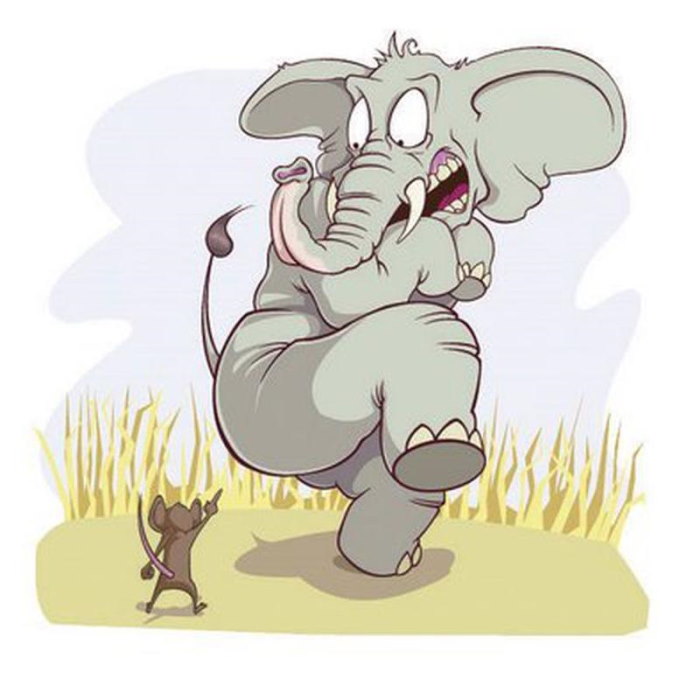 боятся ли слоны мышей