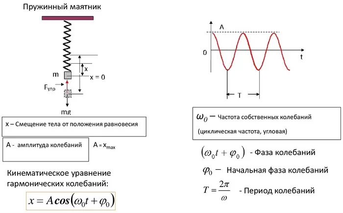 Амплитуда и начальная фаза пружинного маятника Амплитуда и начальная фаза пружинного маятника