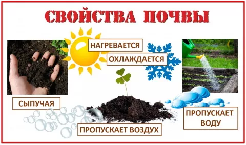 свойства почвы.jpg химические свойства почвы