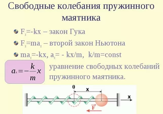 Свободные колебания пружинного маятника Свободные колебания пружинного маятника