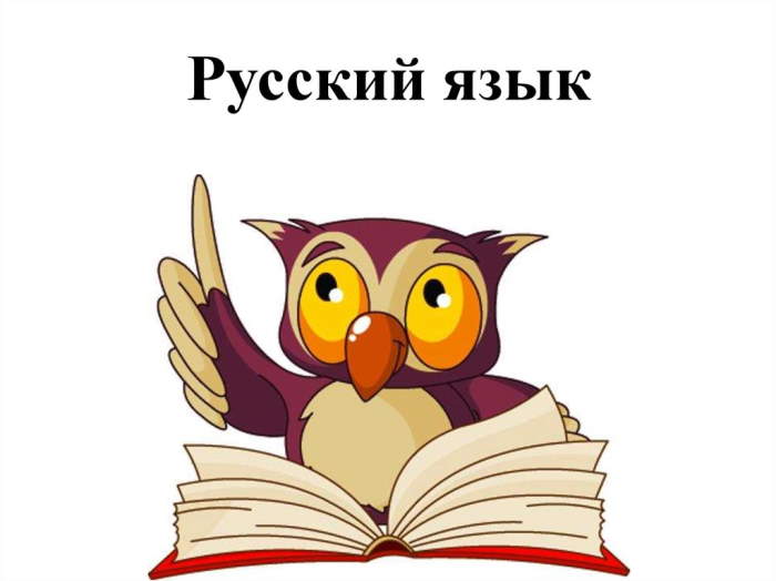 почему нужно беречь русский литературный язык сочинение