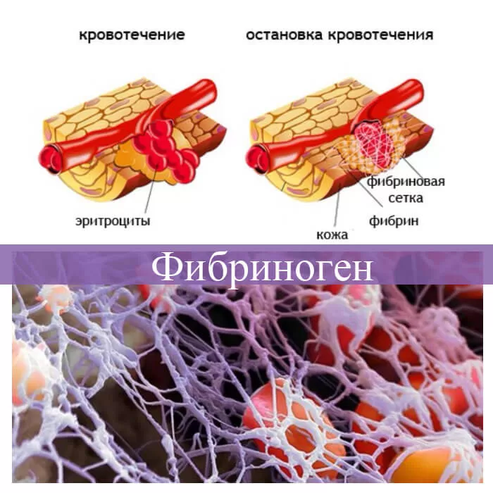 Фибриноген Фибриноген