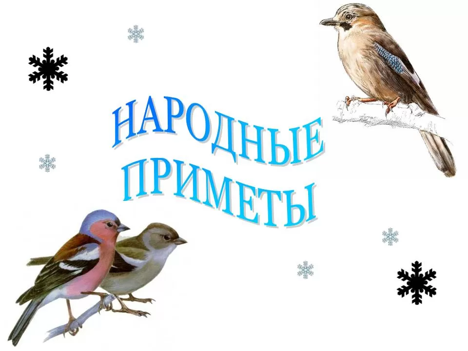 Народные приметы Народные приметы