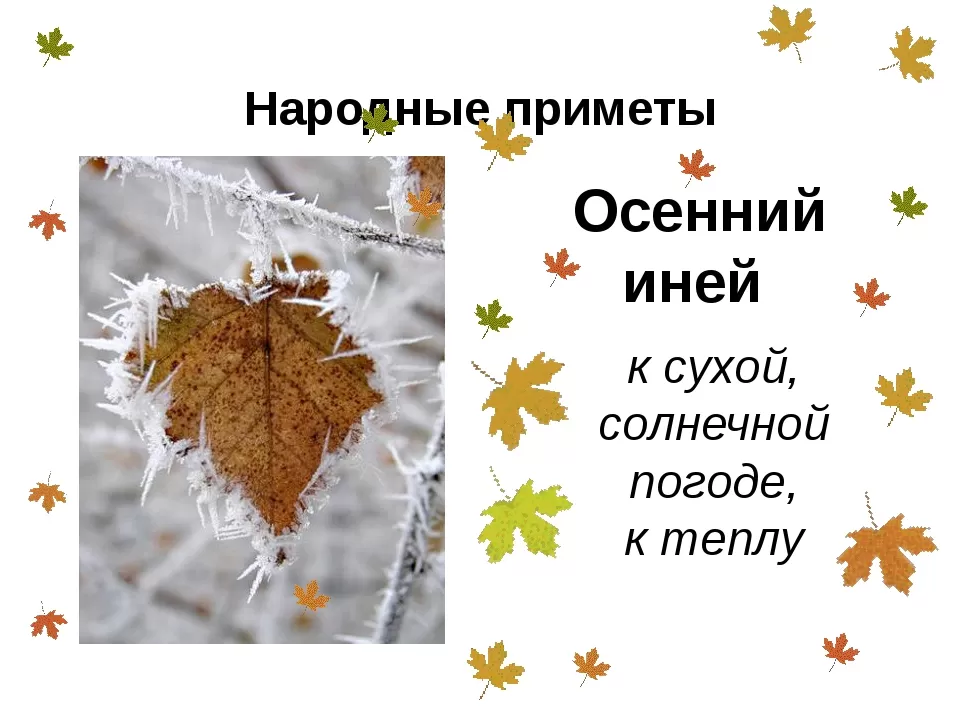 Народные приметы о погоде осенью Народные приметы о погоде осенью