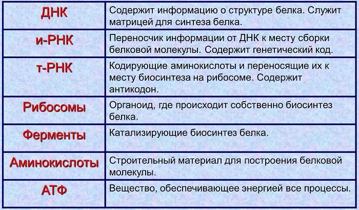 Компоненты биосинтеза белка Компоненты биосинтеза белка