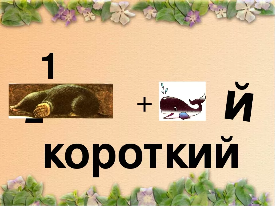 4.jpg 4.jpg