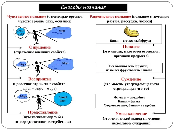 Способы познания Способы познания