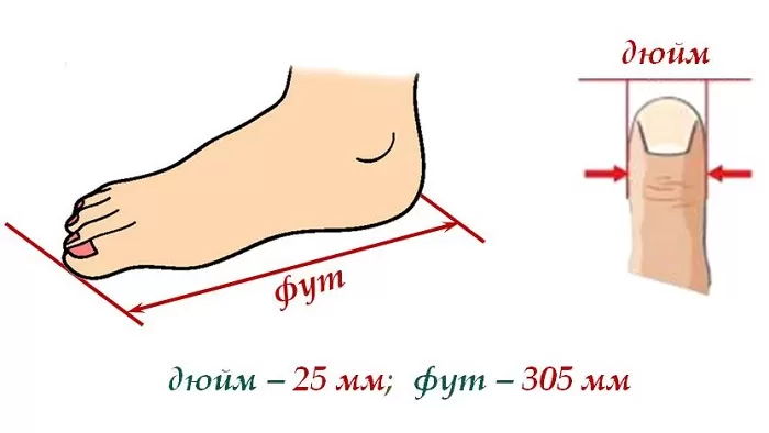 Фут и дюйм Фут и дюйм
